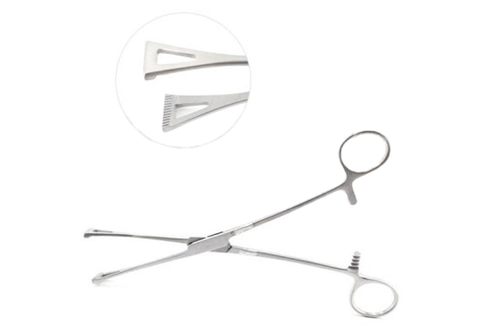 Duval Lung Forceps - Ameri Surgical Instruments Inc.