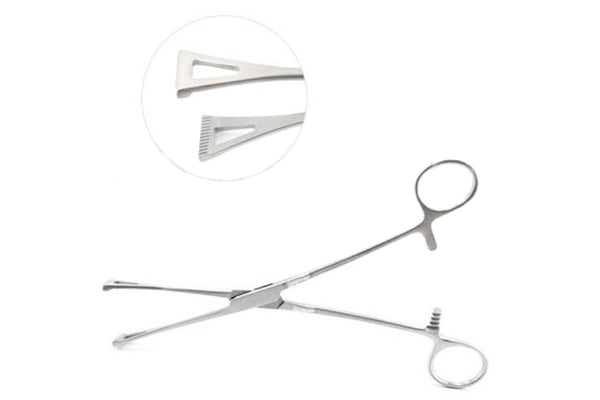 Duval Lung Forceps - Ameri Surgical Instruments Inc.