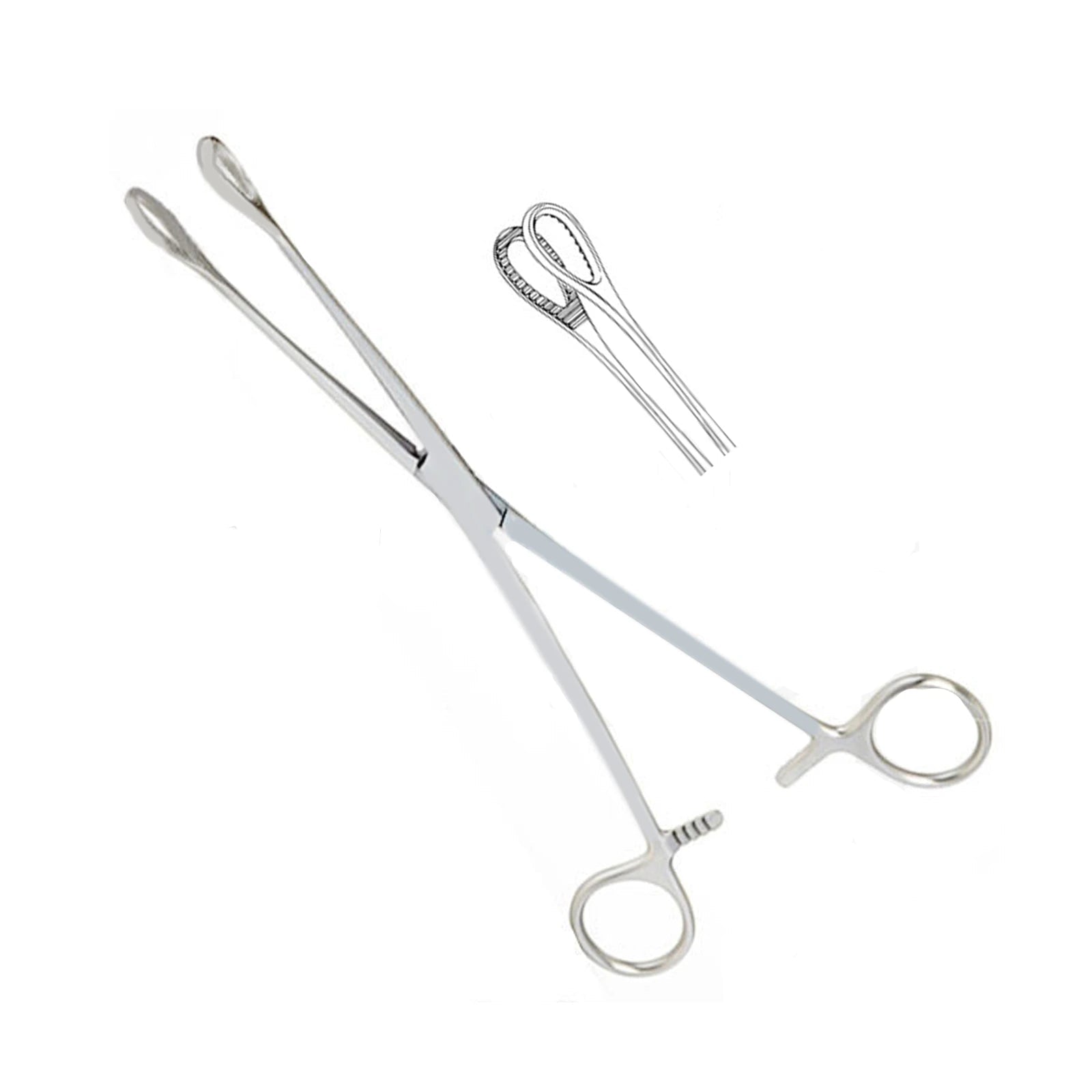 Foerster Sponge Forceps straight