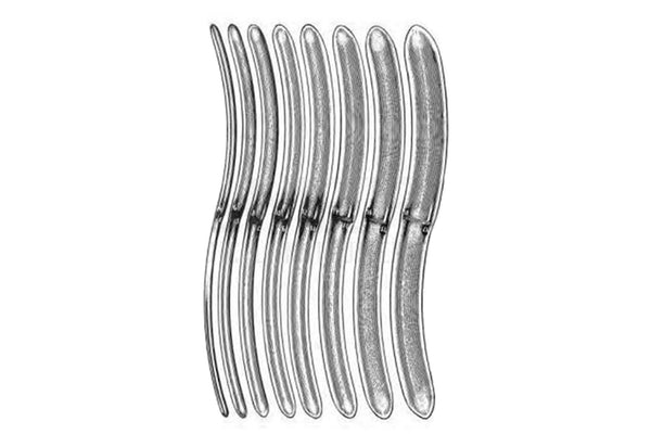 Hegar Uterine Dilators Set with Khaki Roll - 8 Pcs - Ameri Surgical Instruments Inc.