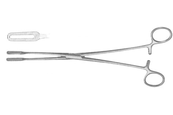 Javerts Placenta Forceps - Ameri Surgical Instruments Inc.