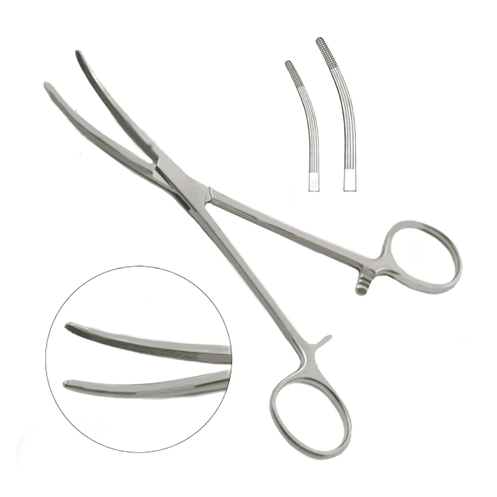 Rochester Carmalt Forceps - Ameri Surgical Instruments Inc.