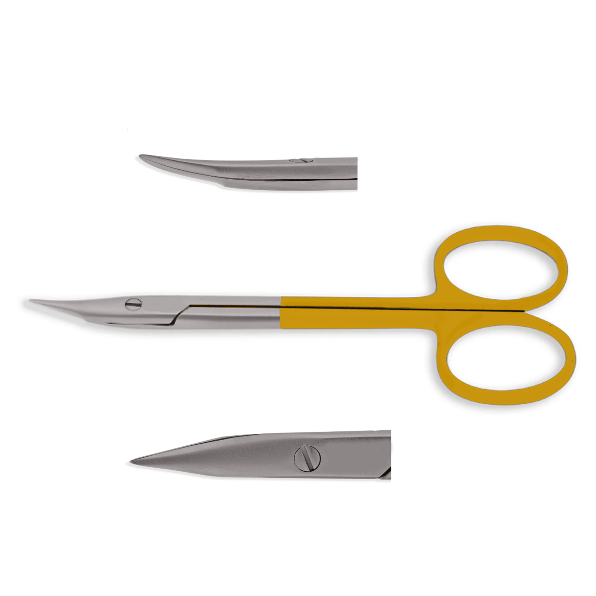 Stevens Tenotomy Scissors - Ameri Surgical Instruments Inc.
