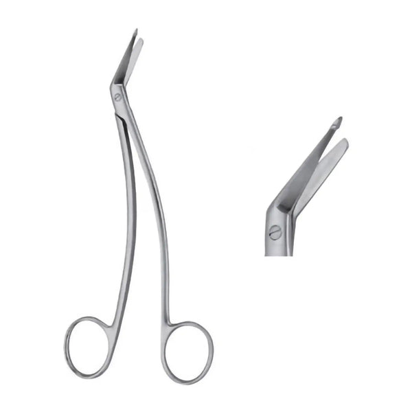 Taylor Dural Scissors - Ameri Surgical Instruments Inc.