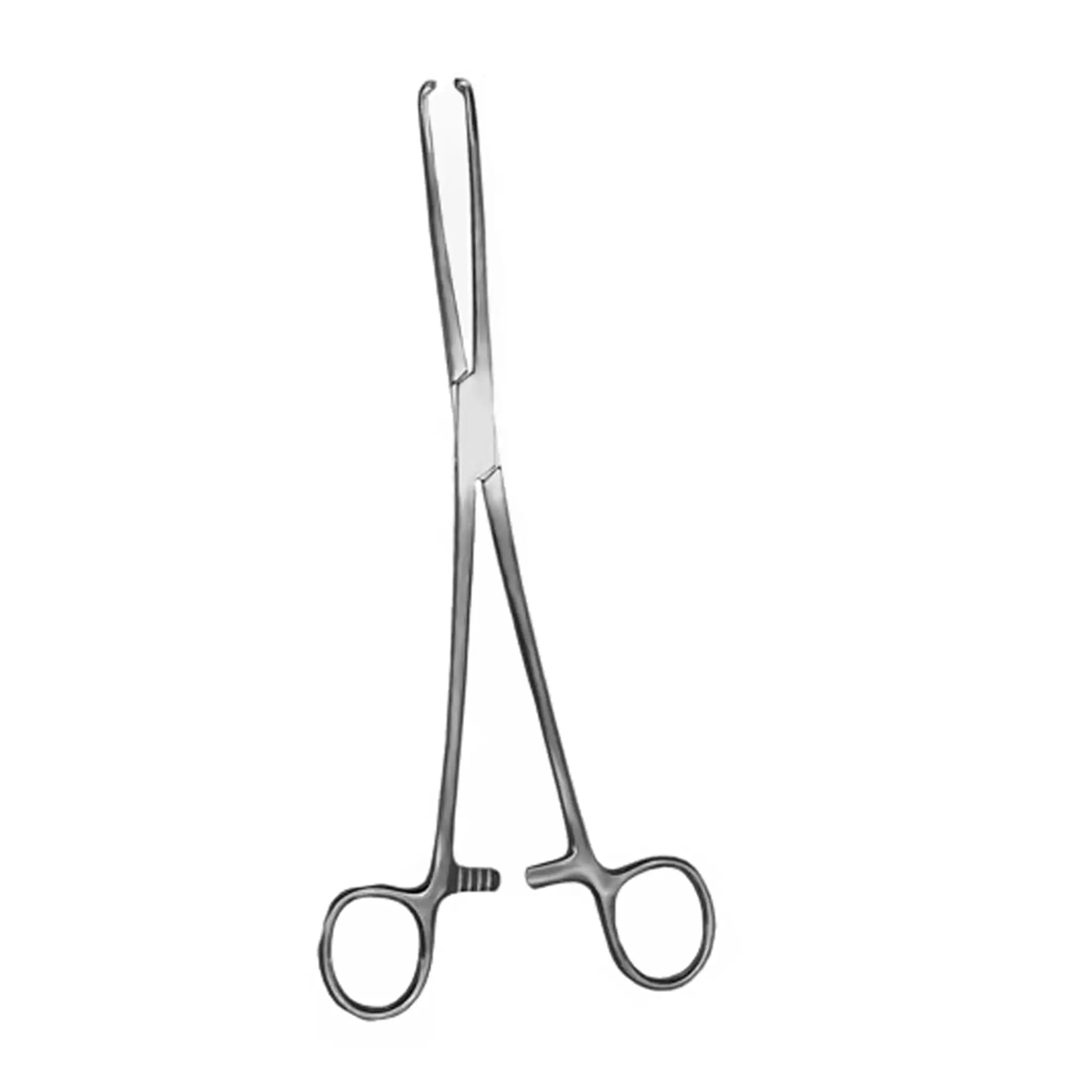 Thomas - Allis Tissue Forceps - Ameri Surgical Instruments Inc.