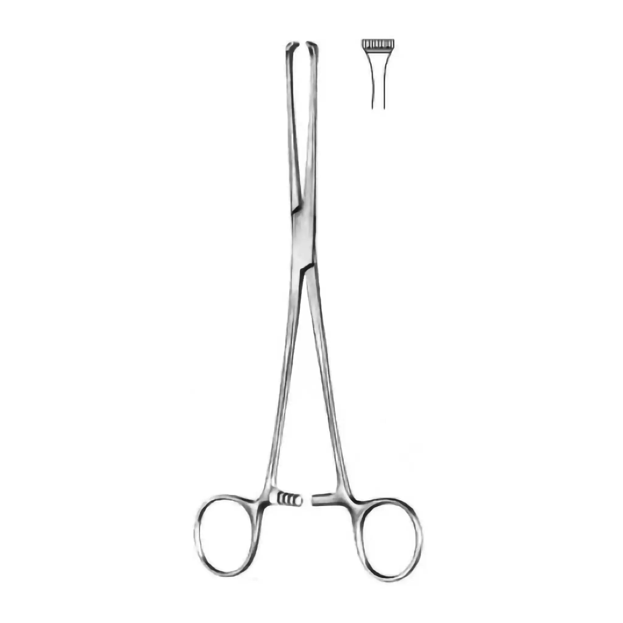 Thomas - Allis Tissue Forceps - Ameri Surgical Instruments Inc.