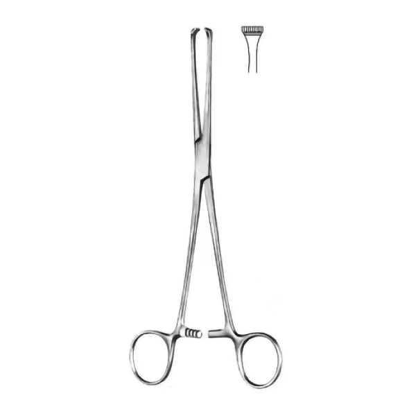 Thomas - Allis Tissue Forceps - Ameri Surgical Instruments Inc.
