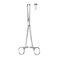 Thomas - Allis Tissue Forceps - Ameri Surgical Instruments Inc.